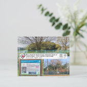 ユネスコWHS – 古市 – 青山古墳 – 青山古墳 ポストカード (スタンド正面)