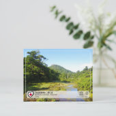 ユネスコWHS – 屋久島 – 屋久島葉書 ポストカード (スタンド正面)