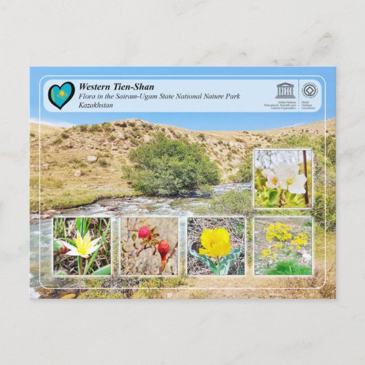 ユネスコWHS – 西ティエンシャン – サイラム – ウガム ポストカード (正面)