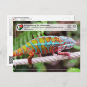 ユネスコWHS - Atsinanana – マソアラ国立公園 ポストカード (正面/裏面)