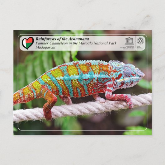 ユネスコWHS - Atsinanana – マソアラ国立公園 ポストカード (正面)