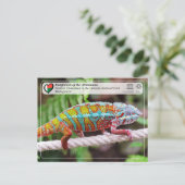 ユネスコWHS - Atsinanana – マソアラ国立公園 ポストカード (スタンド正面)