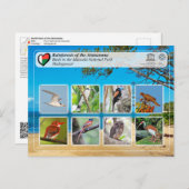 ユネスコWHS - Atsinanana – マソアラ国立公園 ポストカード (正面/裏面)