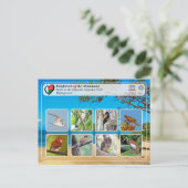 ユネスコWHS - Atsinanana – マソアラ国立公園 ポストカード (スタンド正面)