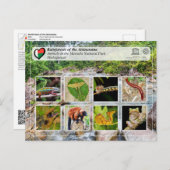 ユネスコWHS - Atsinanana – マソアラ国立公園 ポストカード (正面/裏面)