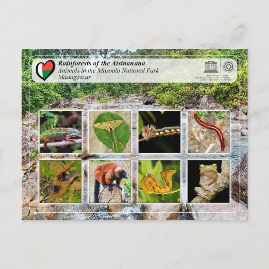 ユネスコWHS - Atsinanana – マソアラ国立公園 ポストカード (正面)