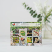 ユネスコWHS - Atsinanana – マソアラ国立公園 ポストカード (スタンド正面)