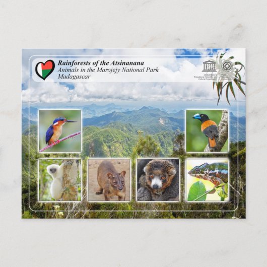 ユネスコWHS - Atsinanana – マロジェジー国立公園 ポストカード (正面)