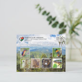 ユネスコWHS - Atsinanana – マロジェジー国立公園 ポストカード (スタンド正面)