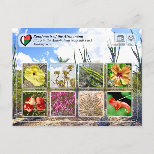 ユネスコWHS - Atsinanana - Andohahela国立公園 ポストカード (正面)