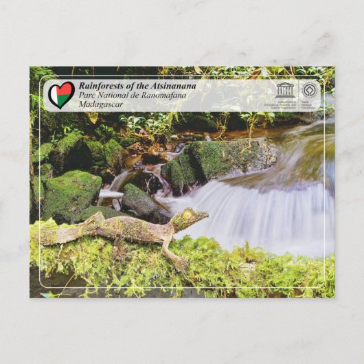 ユネスコWHS - Atsinanana - Ranomafana国立公園 ポストカード (正面)