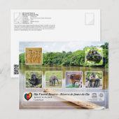 ユネスコWHS - Dja Faunal Reserve ポストカード (正面/裏面)