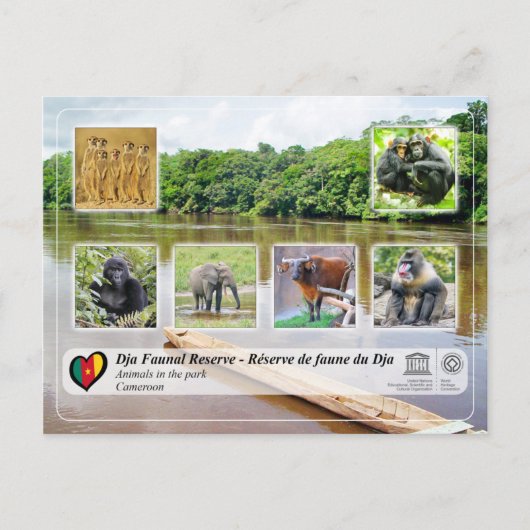 ユネスコWHS - Dja Faunal Reserve ポストカード (正面)