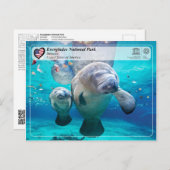 ユネスコWHS - Everglades国立公園 – マナティー ポストカード (正面/裏面)