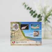 ユネスコWHS - Miguasha国立公園 ポストカード (スタンド正面)