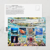 ユネスコWHS - Papahalnaumokukea - Marine Life ポストカード (正面/裏面)