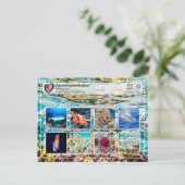 ユネスコWHS - Papahalnaumokukea - Marine Life ポストカード (スタンド正面)