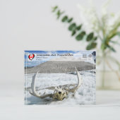 ユネスコWHS - Tatshenshini-Alsek地方公園 ポストカード (スタンド正面)