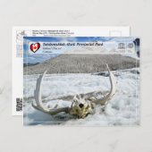 ユネスコWHS - Tatshenshini-Alsek地方公園 ポストカード (正面/裏面)