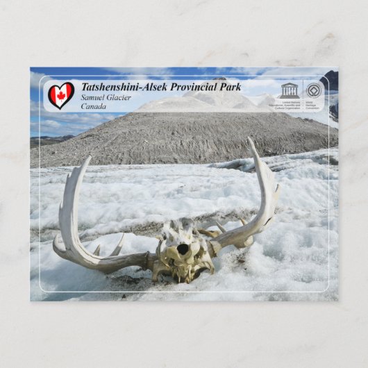 ユネスコWHS - Tatshenshini-Alsek地方公園 ポストカード (正面)