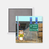 ユマのアブラハムスターの思考マグネット マグネット (正面/裏面)