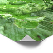 ユミー・アイスバーグレタス ポスター (角)