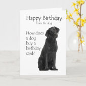 ユモアあふれるブラックラボの誕生日ジョーク カード (黄色い花)