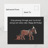 ユモアあふれる馬の誕生日メッセージ ポストカード (正面/裏面)