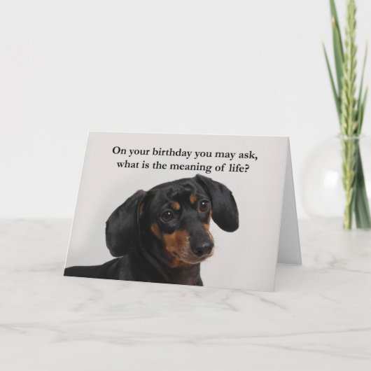ユモアなダックスフントのカード カード (正面)