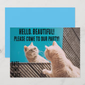 ユモアな猫のカスタムパーティー招待状 招待状 (正面/裏面)