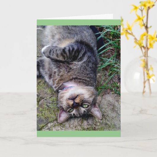 ユモアな猫のTENSユニット カード (黄色い花)