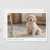 ユモア溢れるゴールデンレトリバーの子犬の写真 バレンタイン シーズンカード (正面)