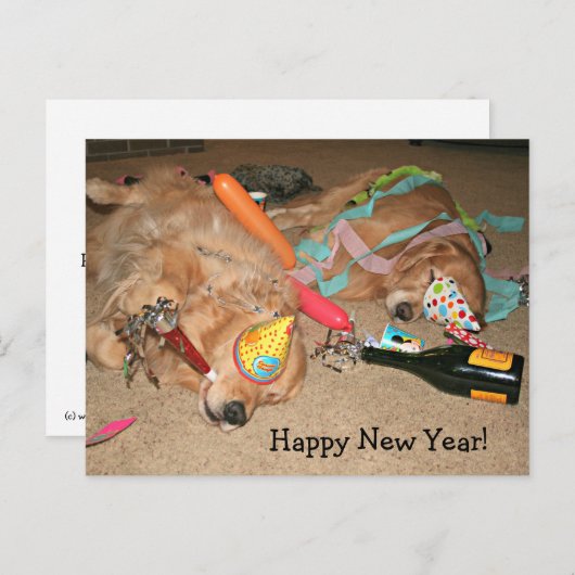 ユモア溢れるゴールデンレトリバーの新年会 シーズンポストカード (正面/裏面)