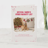 ユモア溢れる 面白い 犬の写真 クリスマスカード 折り畳み カード (正面)