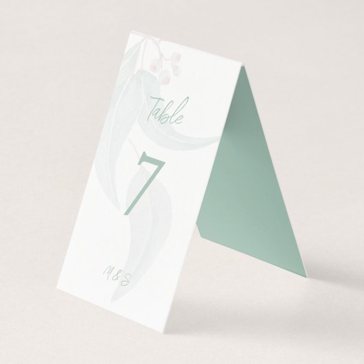 ユモダンエレガントーカリプトゥスミントボホシック (正面)