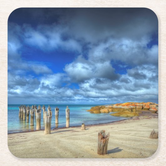 ユリのビーチ| WybalenaのFlindersの島 スクエアペーパーコースター (正面)