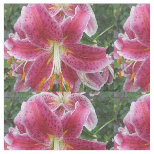 ユリの占星家の紫色の花 ファブリック (クローズアップ)
