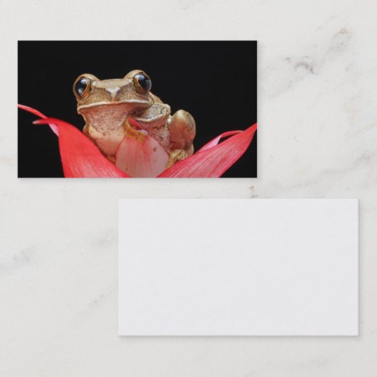 ユリの名刺のかわいく、おもしろいなカエル 名刺 (正面/裏面)
