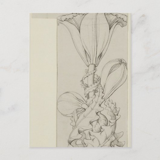 ユリの天才、1809 ポストカード (正面)