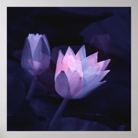 ユリの愛….. ポスター (正面)