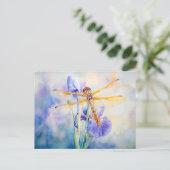 ユリの水色の上で休むトンボ絵を描イ ポストカード (スタンド正面)