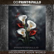 ユリの花の構成#2黒