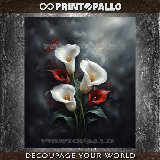 ユリの花の構成#2黒 薄葉紙