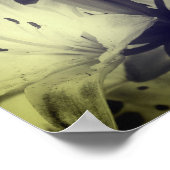 ユリの花の白黒の部分色 ポスター (角)