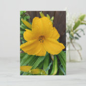 ユリの花の黄色いカードに付いた雨空白の滴 (スタンド正面)