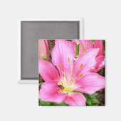 ユリの花を咲かせる マグネット (正面/裏面)