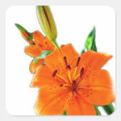 ユリの花 スクエアシール (正面)