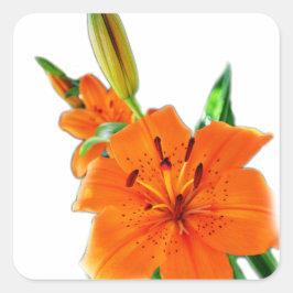 ユリの花 スクエアシール