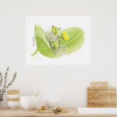 ユリの花 ポスター (キッチン)