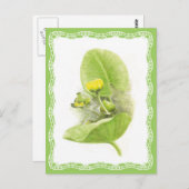 ユリの花 ポストカード (正面/裏面)